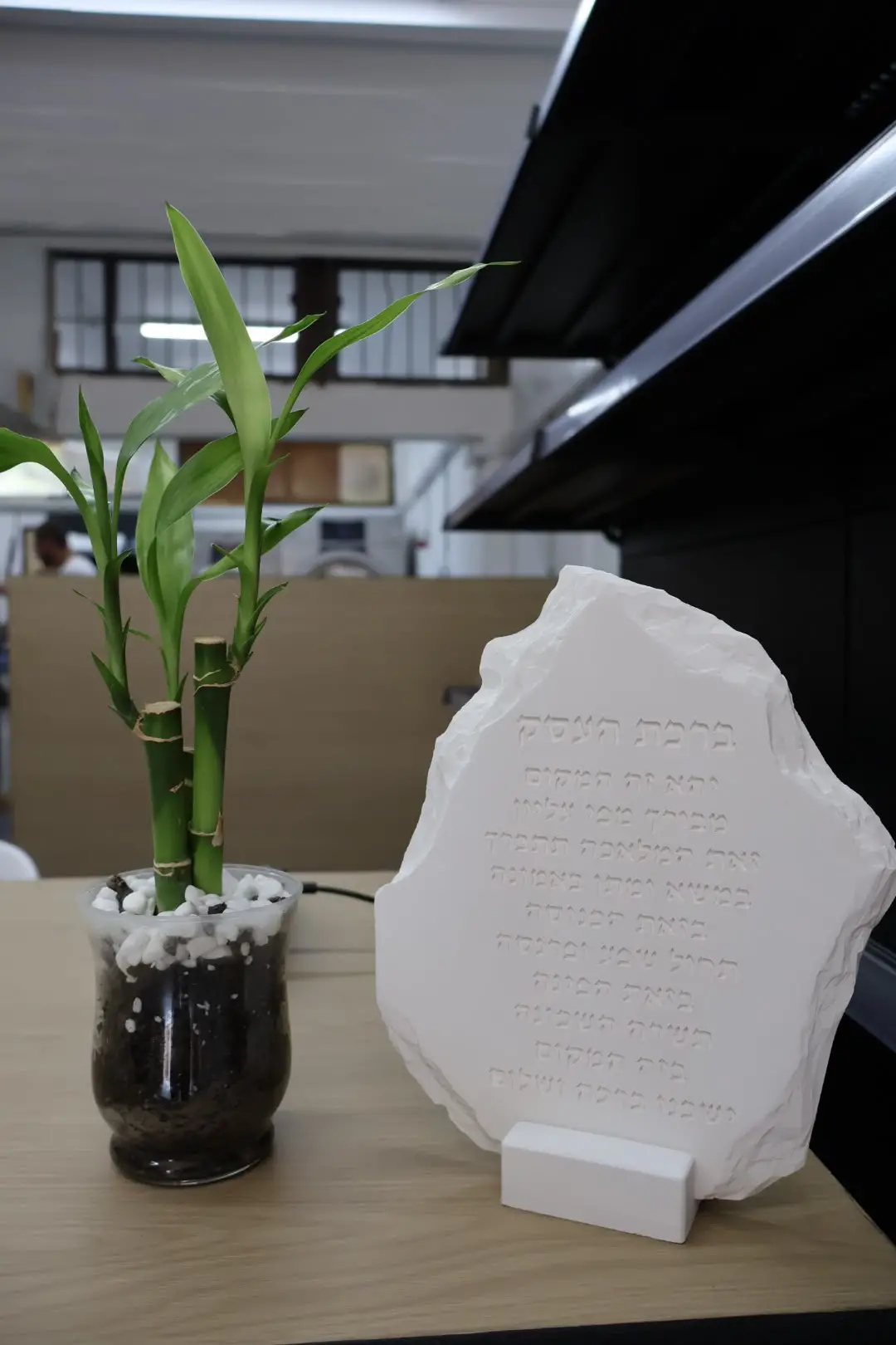 צילום אנכי של לוח ברכת העסק לצד צמח במבוק על דלפק המכבסה