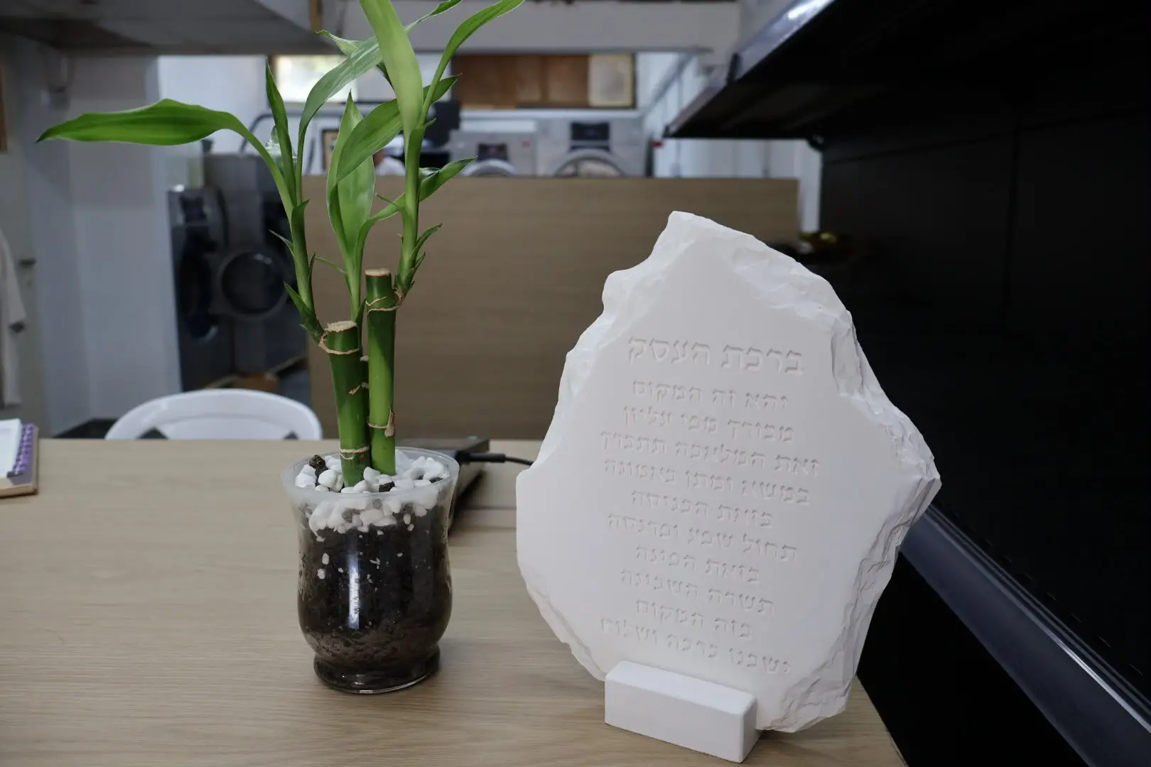 דלפק הקבלה של המכבסה עם צמח במבוק ולוח ברכת העסק, ומאחור מכונות הכביסה